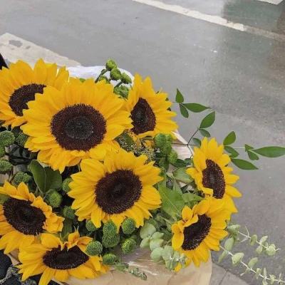 2025科技盘点：海尔颠覆海尔