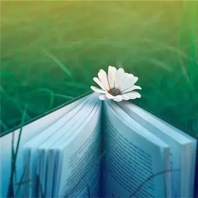 陪审团裁定Meta 与谷歌在社交媒体成瘾案中均需承担法律责任。