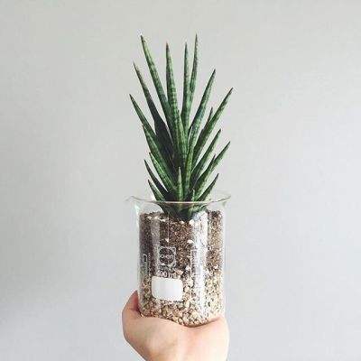 联合国报告称美国有4000万人贫困 美主持人凌乱了