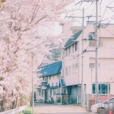电子行业专题报告：GTC 2026召开，产品创新拉动AI产业发展
