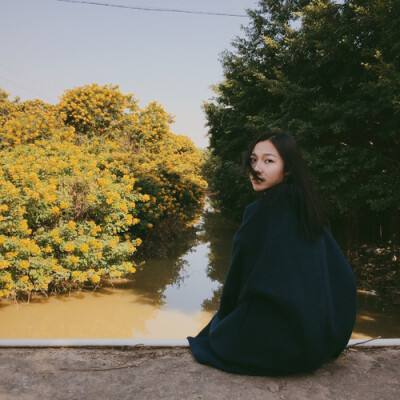 落叶的姿势