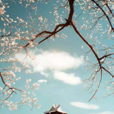 美方被曝正酝酿对伊朗“最后一击”